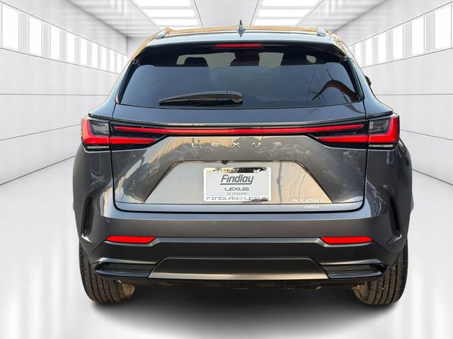 Certified 2023 Lexus NX 250 250 Base image 6