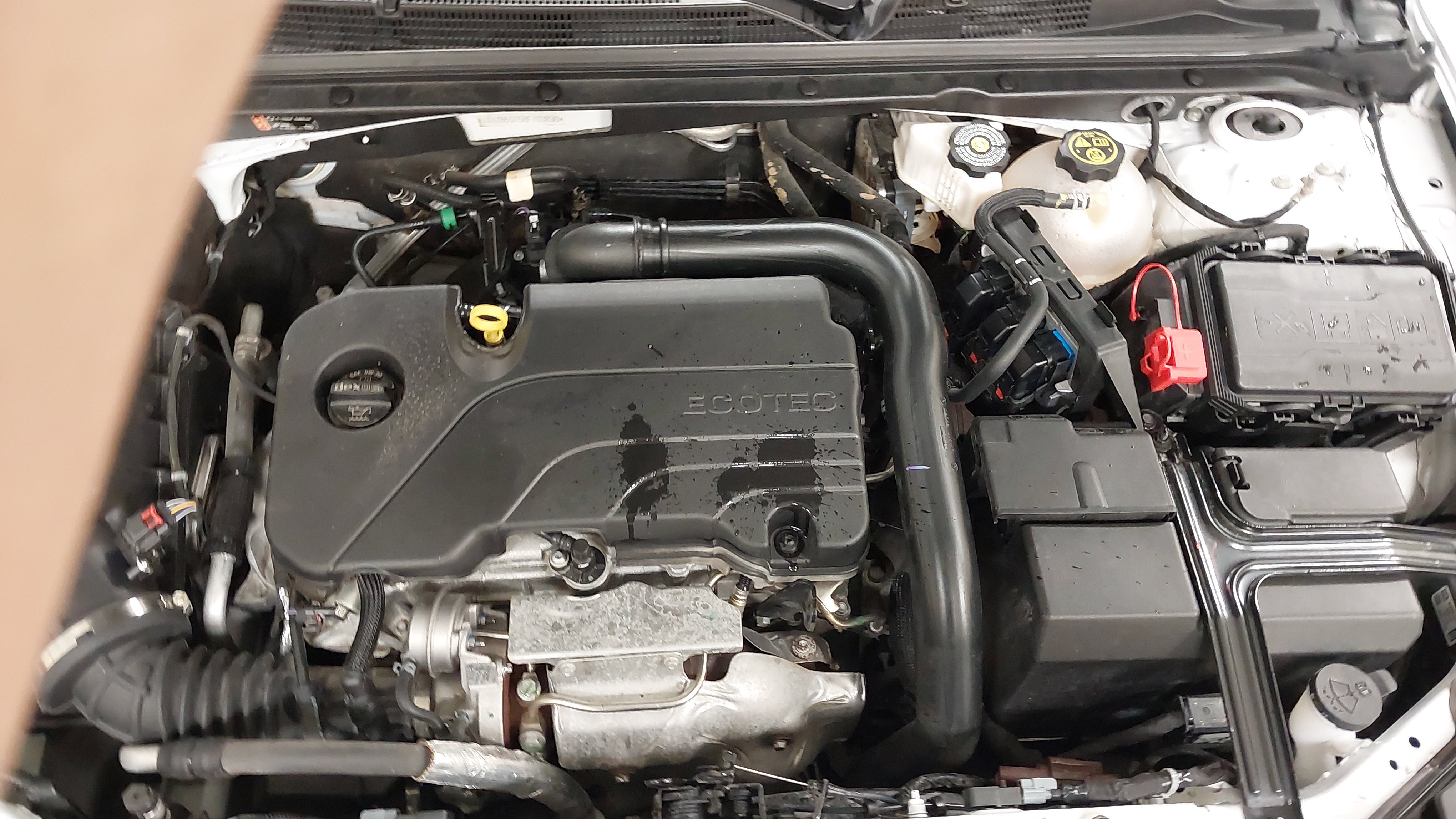 Used 2024 Chevrolet Malibu LS FWD image 30
