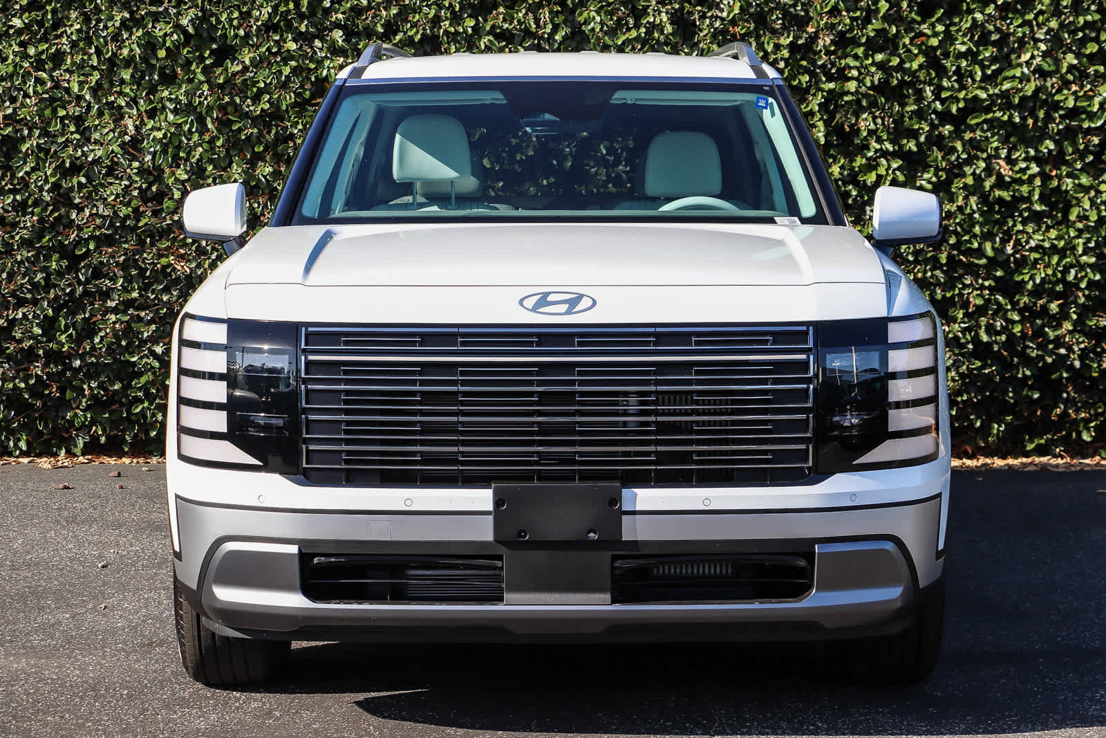 New 2027 Hyundai Palisade SEL FWD image 2