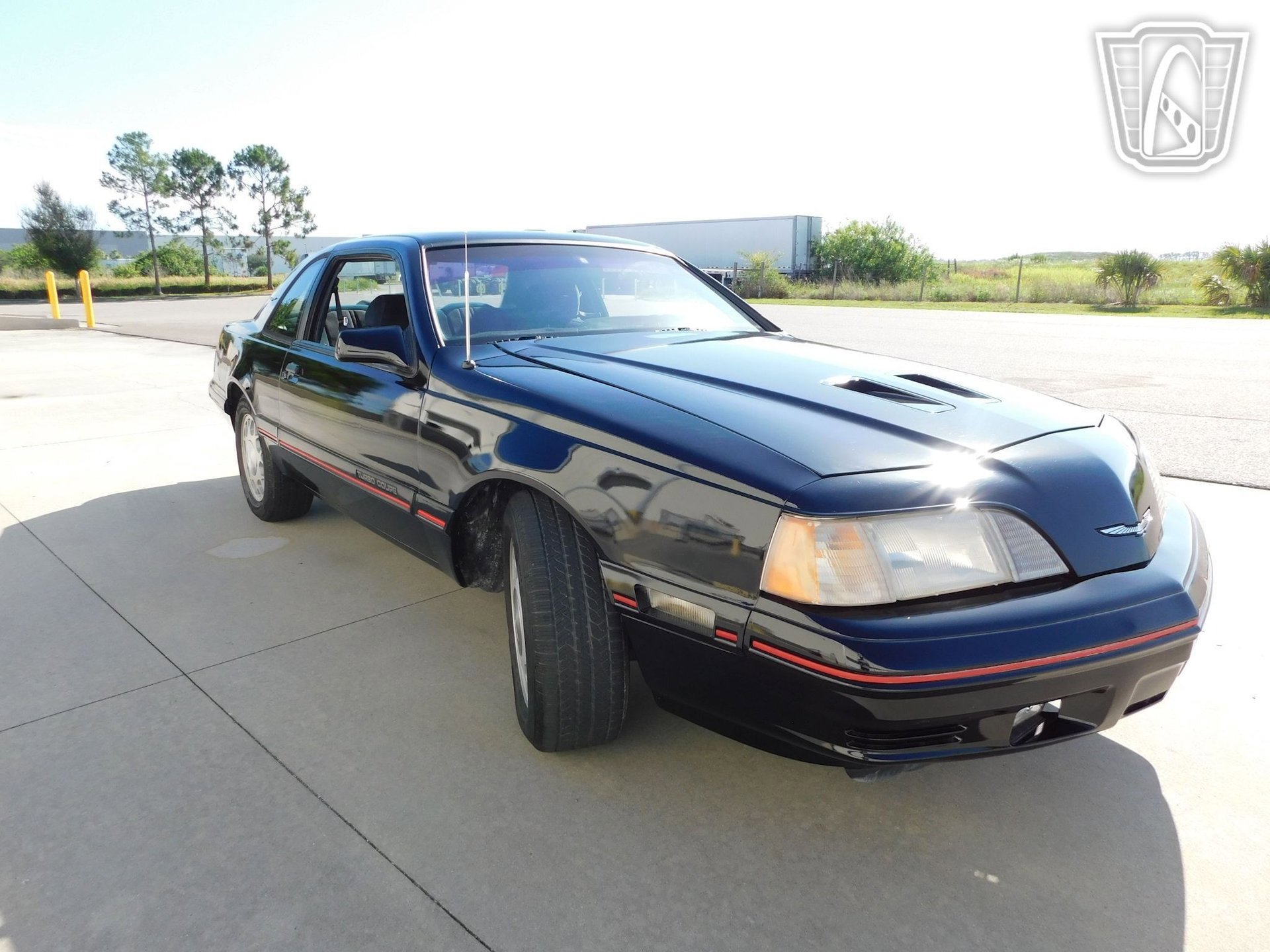 Used 1987 Ford Thunderbird RWD image 10