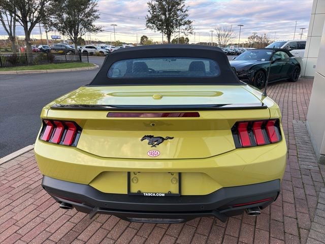 New 2025 Ford Mustang EcoBoost w/ Mustang Nite Pony Package image 6