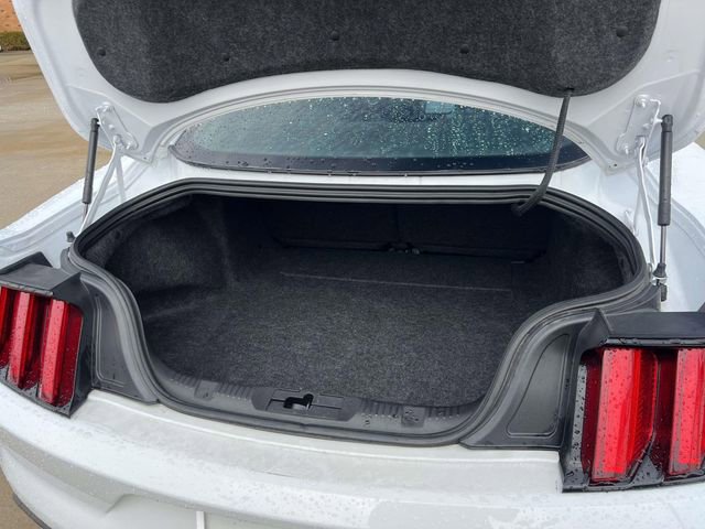 Used 2016 Ford Mustang Premium w/ Wheel & Stripe Package image 12