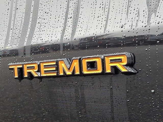 New 2026 Ford Expedition Tremor image 5