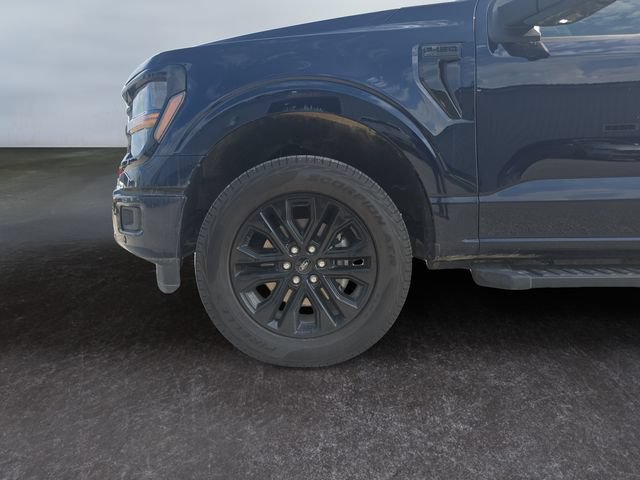 Used 2025 Ford F150 XLT w/ Equipment Group 303A High AWD/4WD image 5
