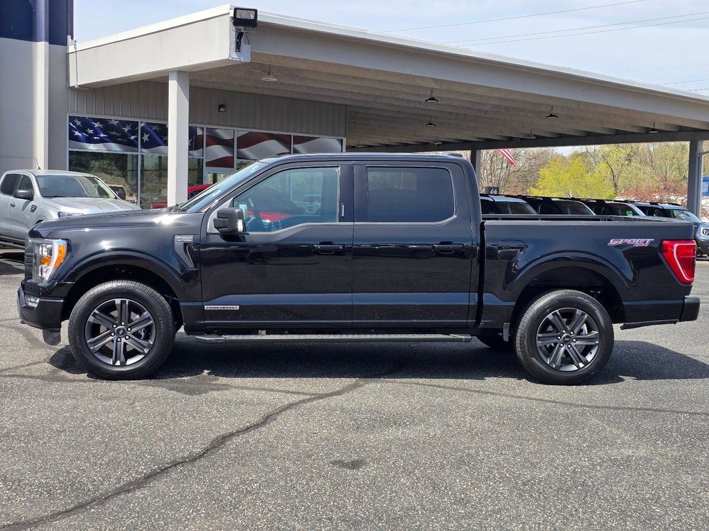 Used 2023 Ford F150 XLT w/ Equipment Group 302A High image 23