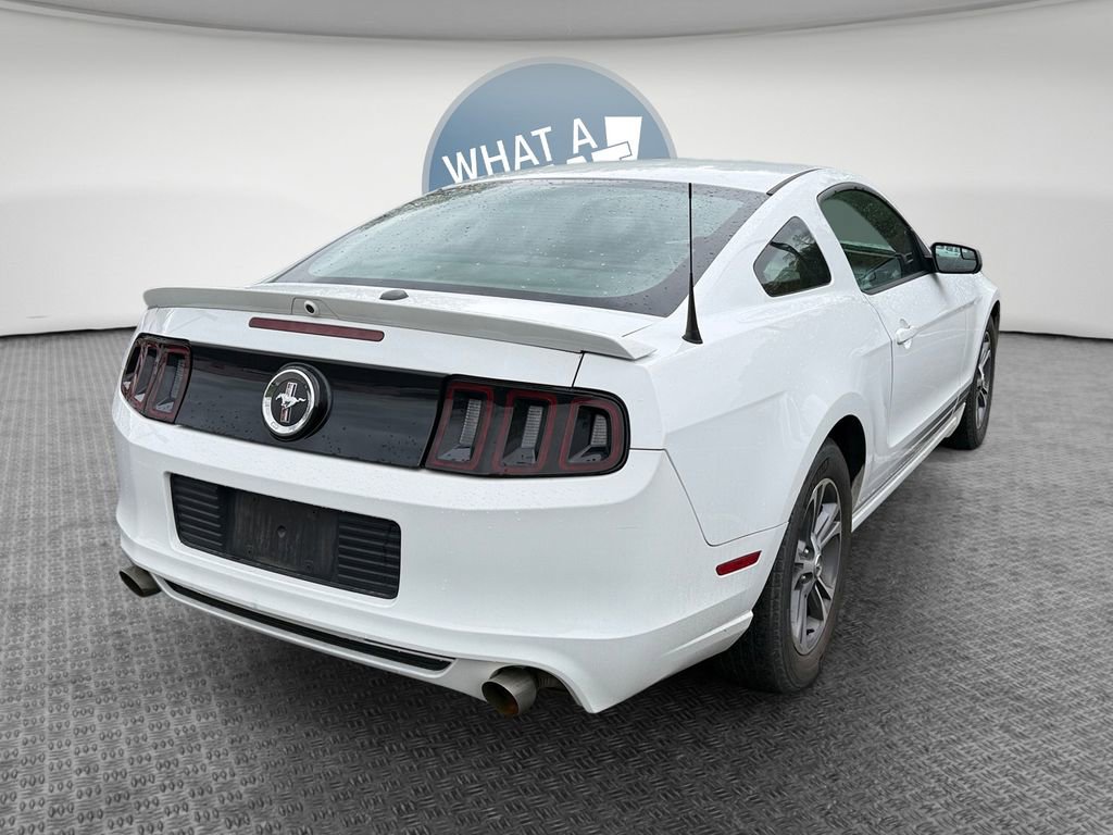 Used 2014 Ford Mustang Premium w/ Equipment Group 201A RWD image 3