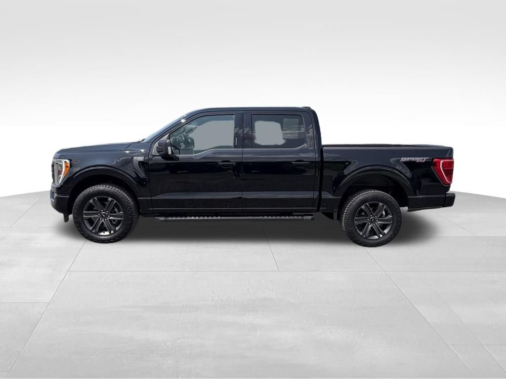 Used 2023 Ford F150 XLT w/ Equipment Group 302A High AWD/4WD image 13