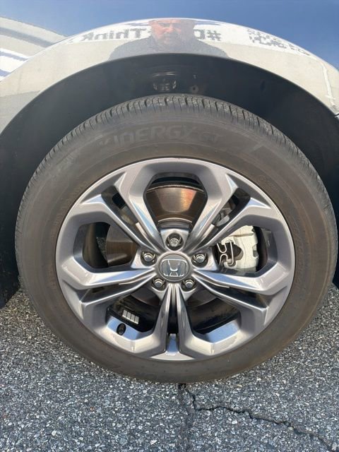 Used 2025 Honda Accord EX-L image 12
