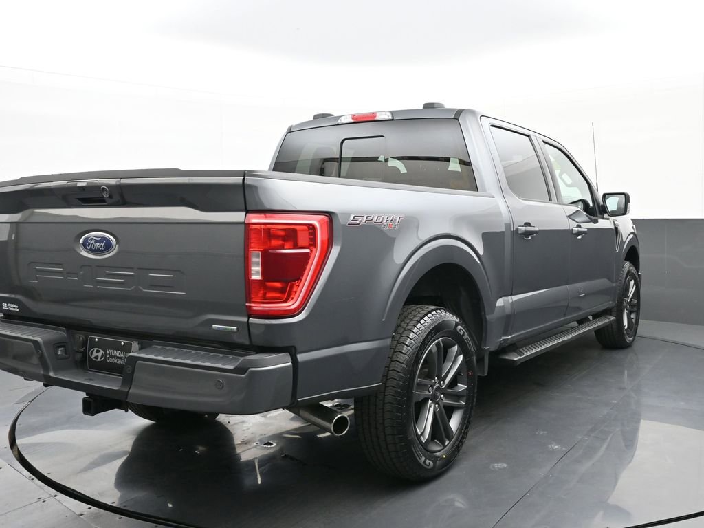 Used 2023 Ford F150 XLT w/ Equipment Group 302A High image 3