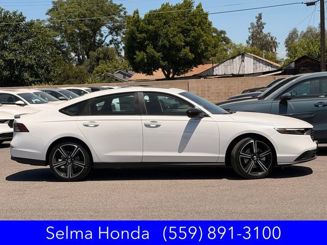 New 2026 Honda Accord Sport image 3