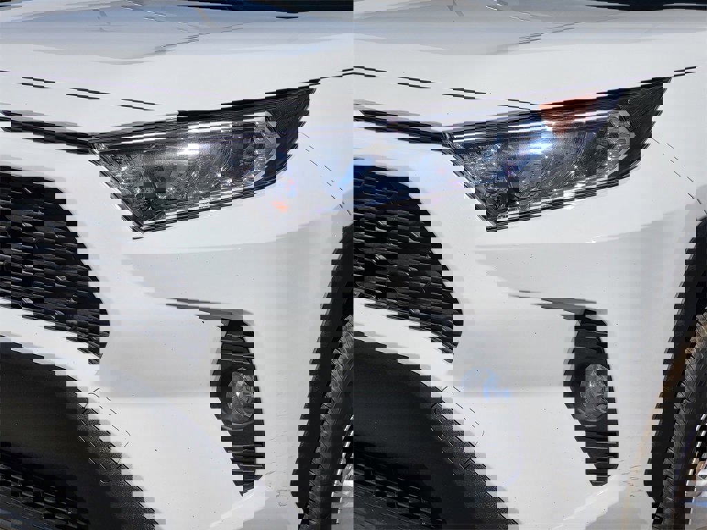 Used 2019 Toyota RAV4 XLE w/ All Weather Liner Package image 5