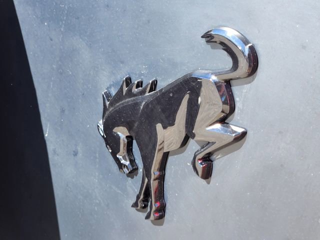 New 2025 Ford Bronco Stroppe Edition image 17