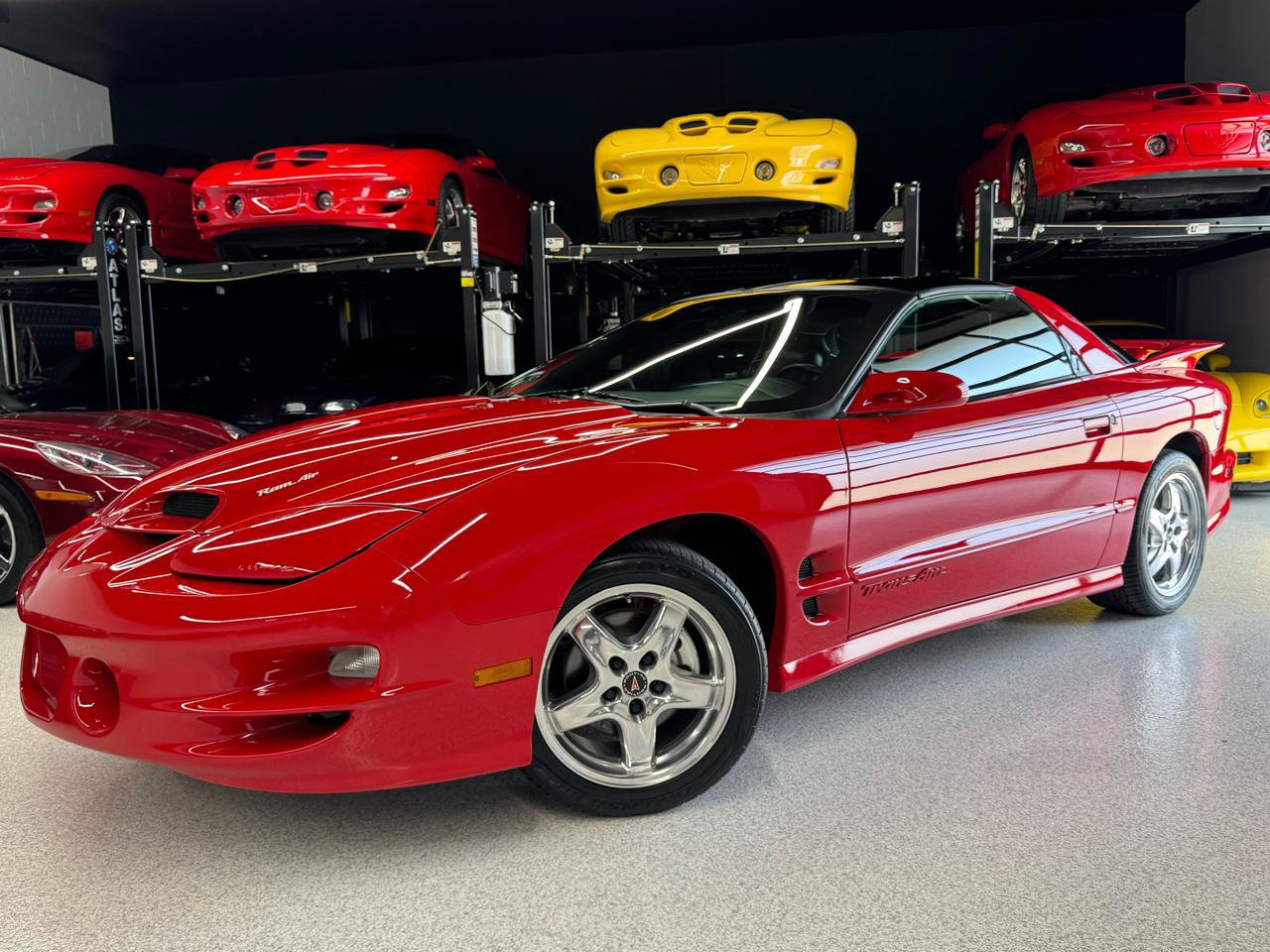 Used 2002 Pontiac Firebird Trans Am RWD image 3