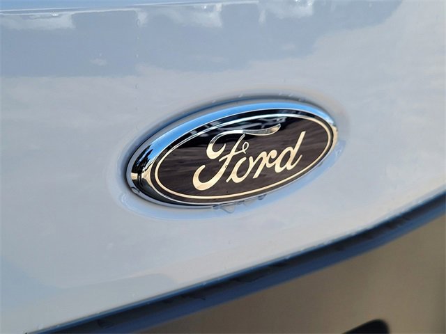 New 2026 Ford Transit 250 148 Medium Roof w/ Load Area Protection Package image 6