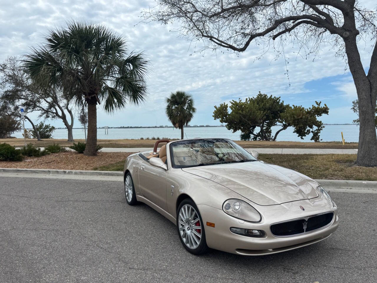 Used 2002 Maserati Spyder Cambiocorsa image 38