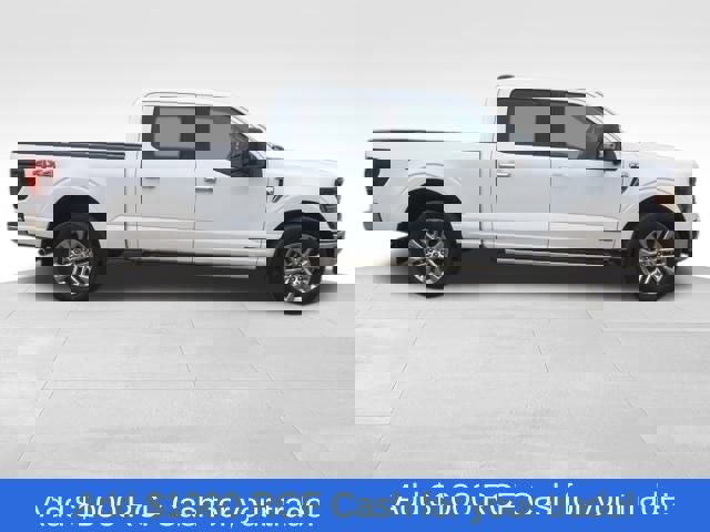 New 2025 Ford F150 XLT w/ Equipment Group 302A MID image 1