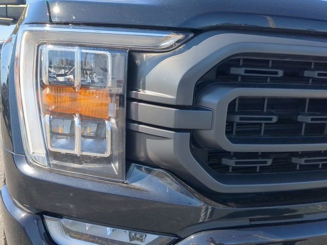 Used 2023 Ford F150 XLT w/ Equipment Group 302A High image 10