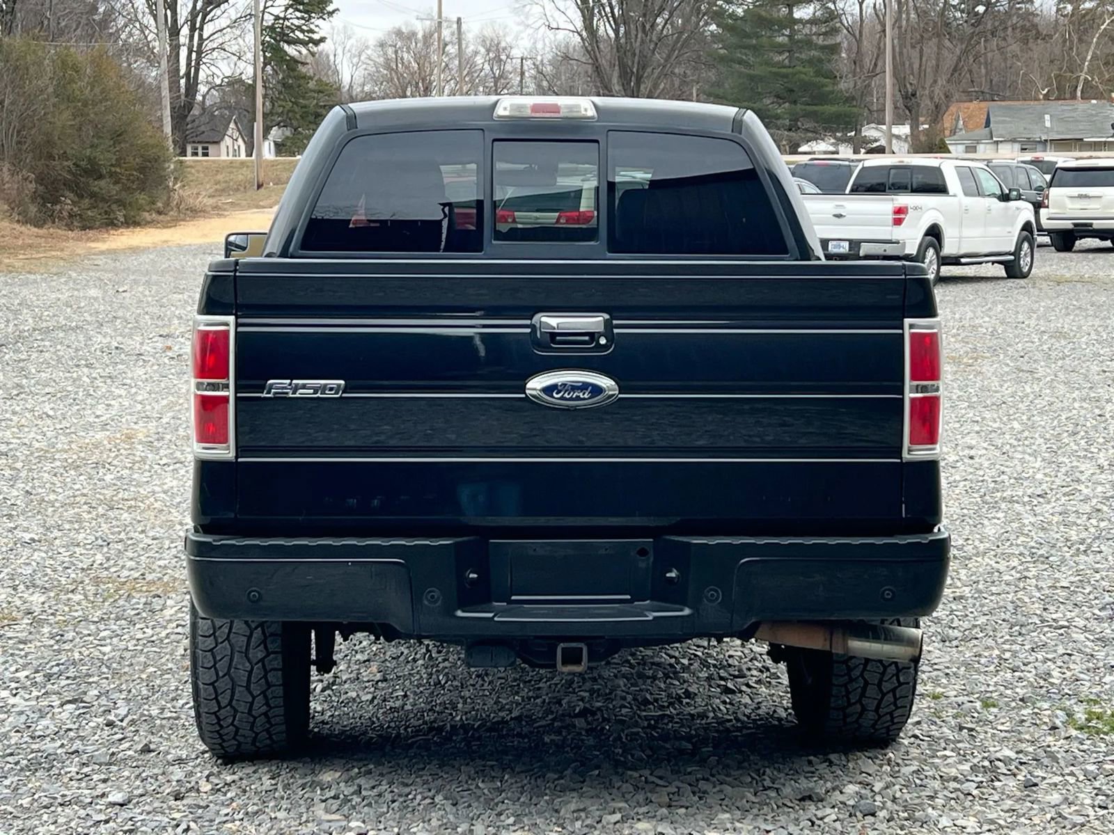 Used 2013 Ford F150 Limited AWD/4WD image 4