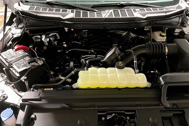 New 2025 Ford F150 XLT w/ Equipment Group 301A Standard image 12