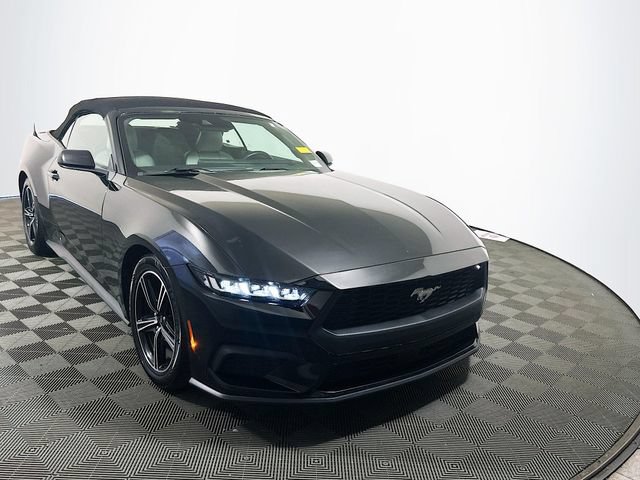 Used 2024 Ford Mustang Premium