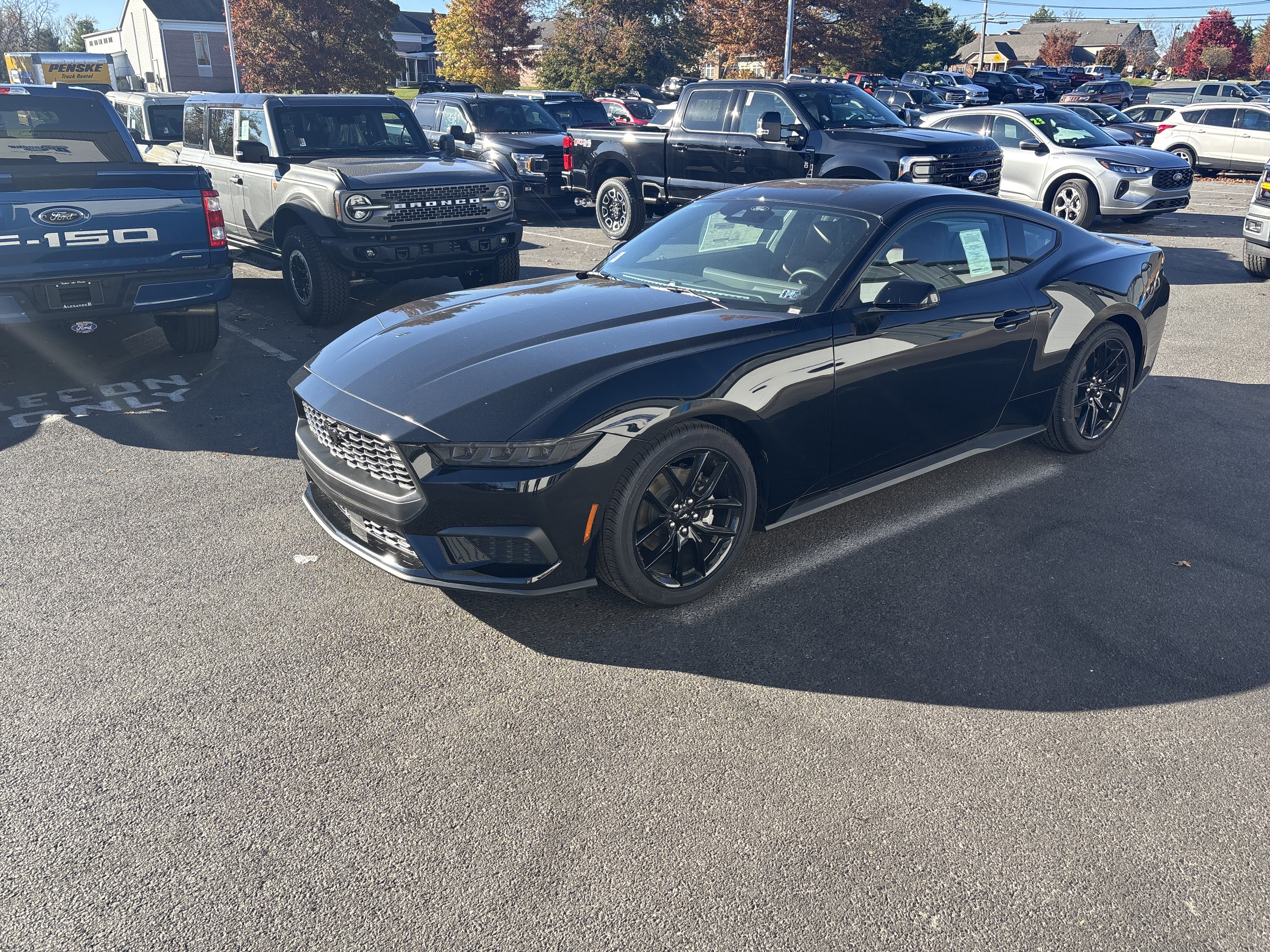 New 2025 Ford Mustang Premium image 8