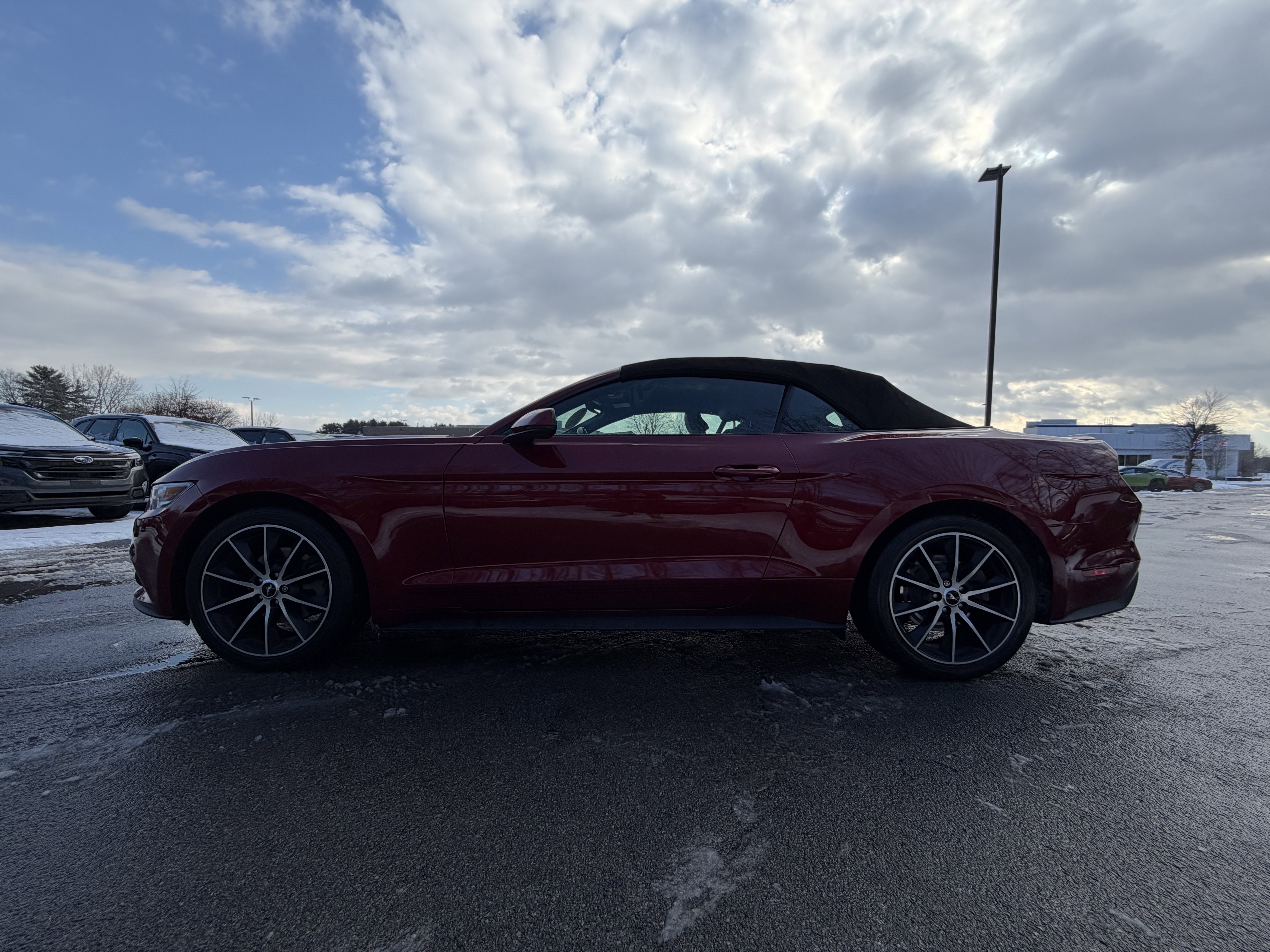 Used 2017 Ford Mustang Premium w/ Wheel & Stripe Package image 9