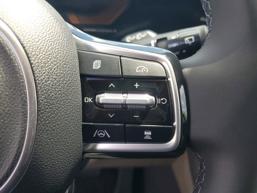 New 2026 Kia Carnival image 12