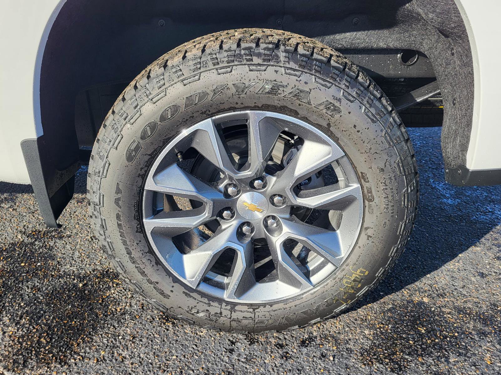 New 2026 Chevrolet Silverado 1500 LT w/ Texas Edition Plus image 19