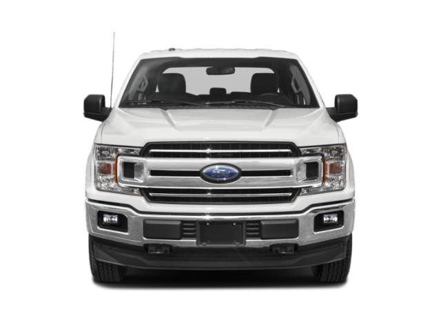 Used 2019 Ford F150 XLT w/ Equipment Group 302A Luxury image 4