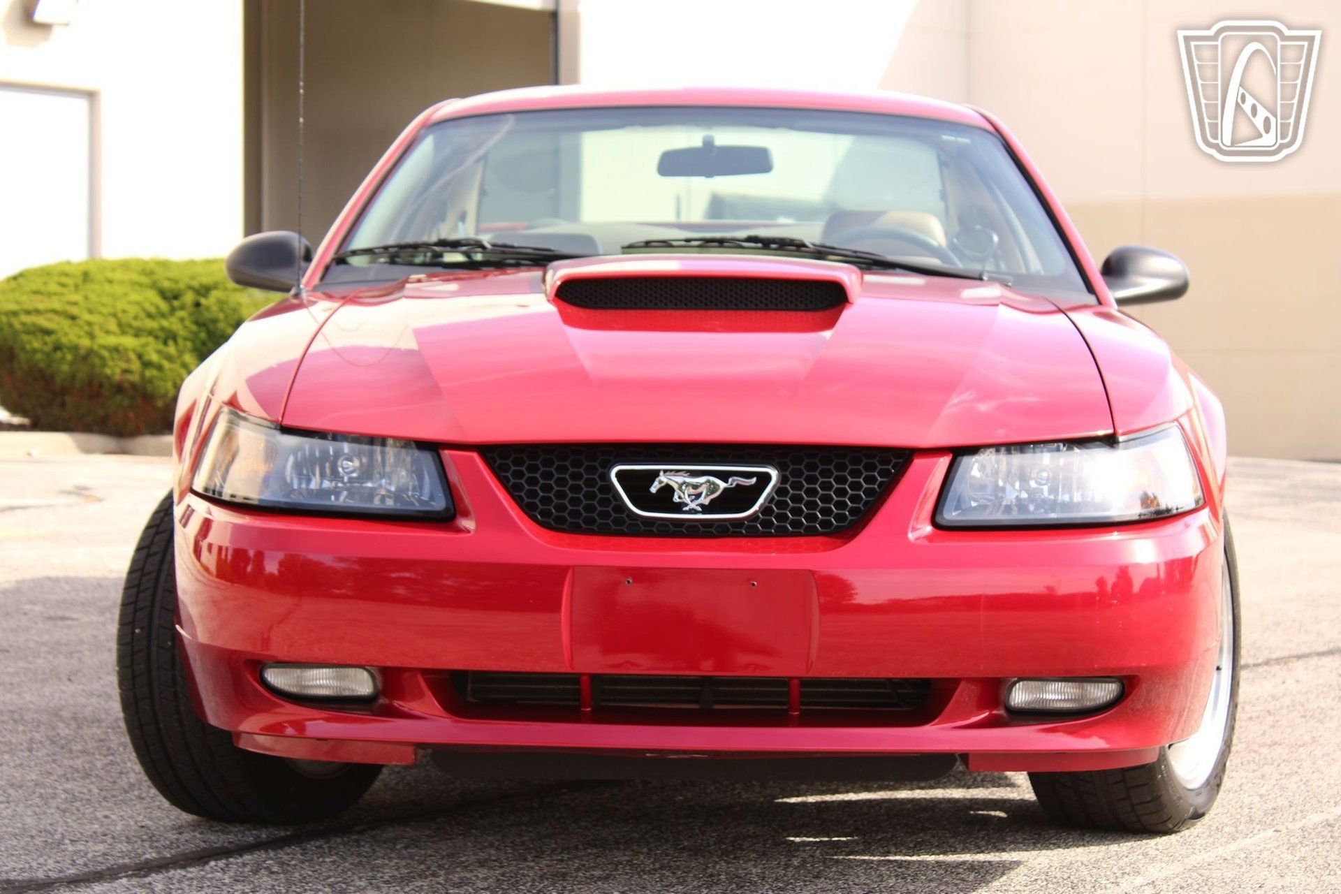 Used 2001 Ford Mustang Bullitt image 24