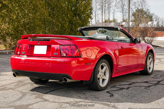 Used 1999 Ford Mustang Cobra RWD image 8