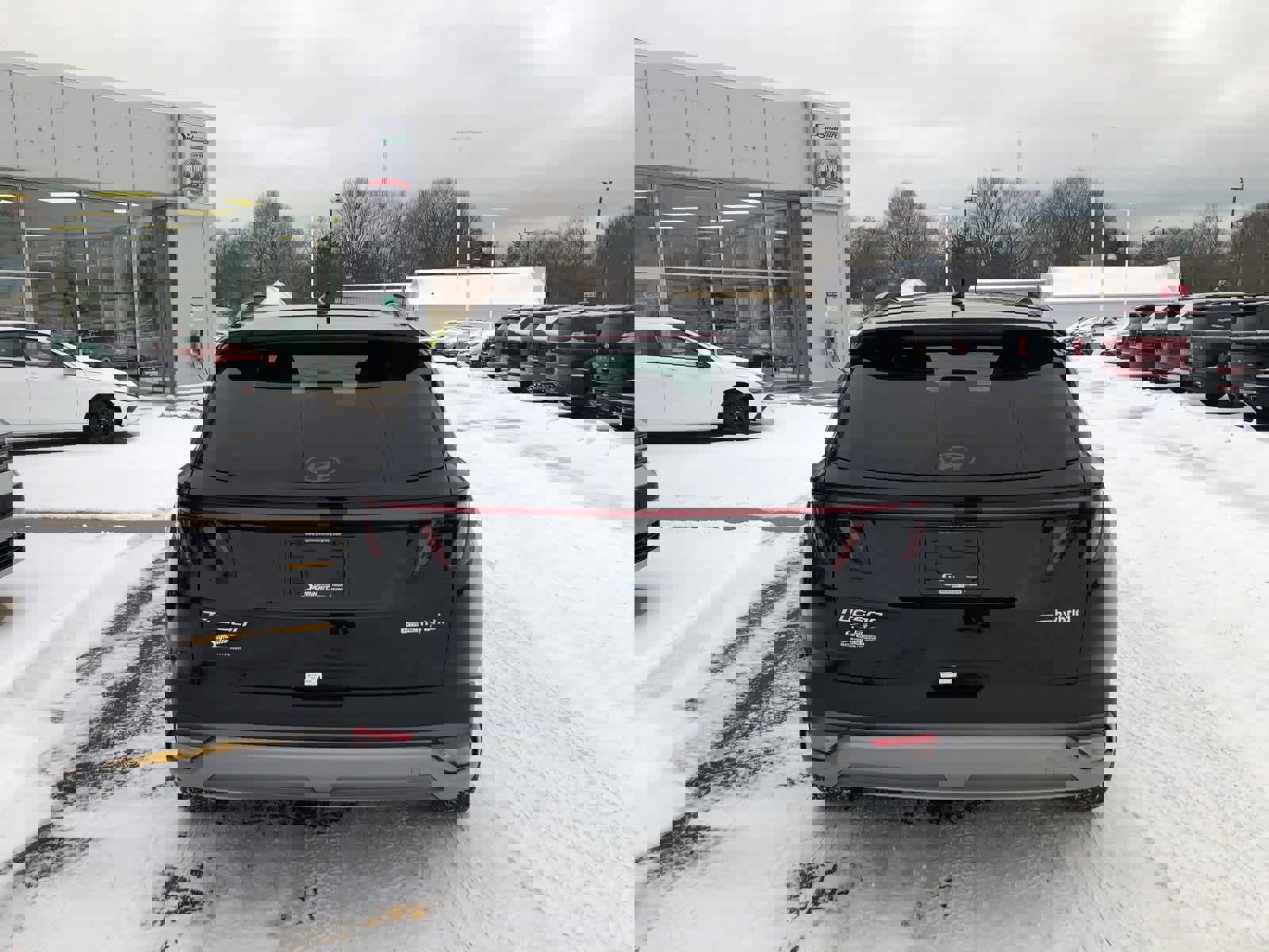 New 2026 Hyundai Tucson Limited image 5