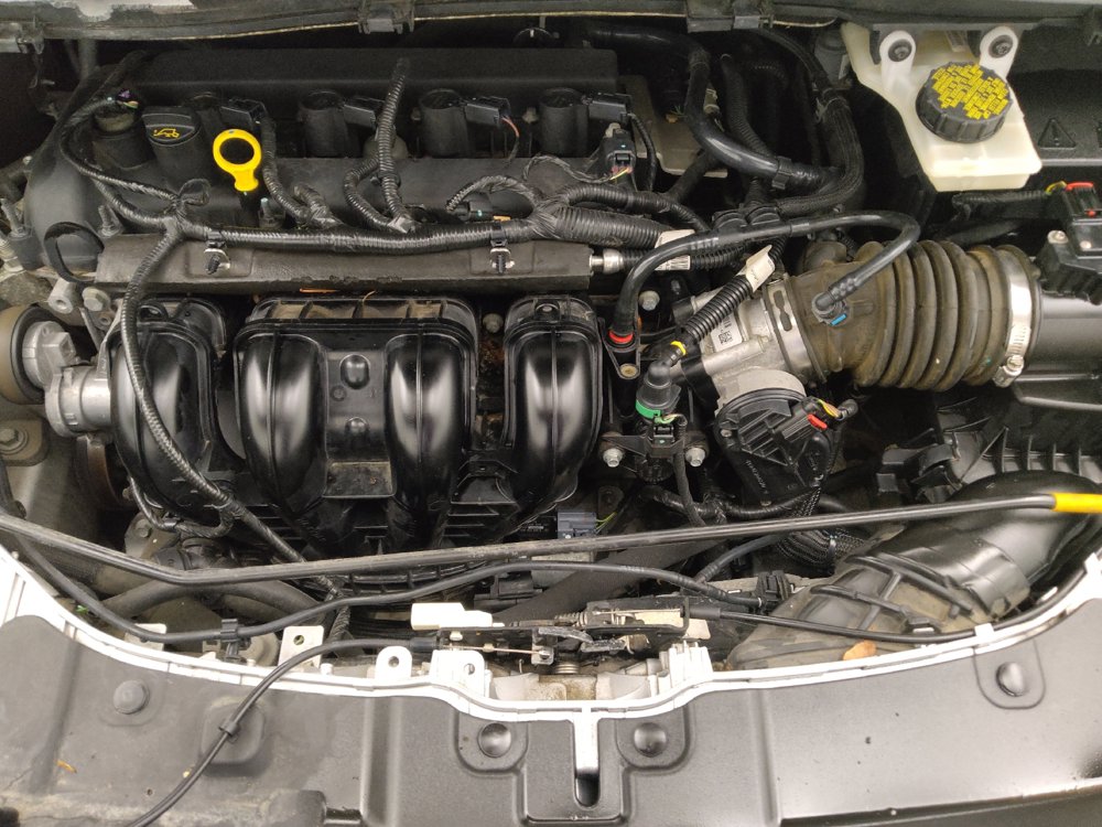 Used 2016 Ford Escape SE FWD image 30