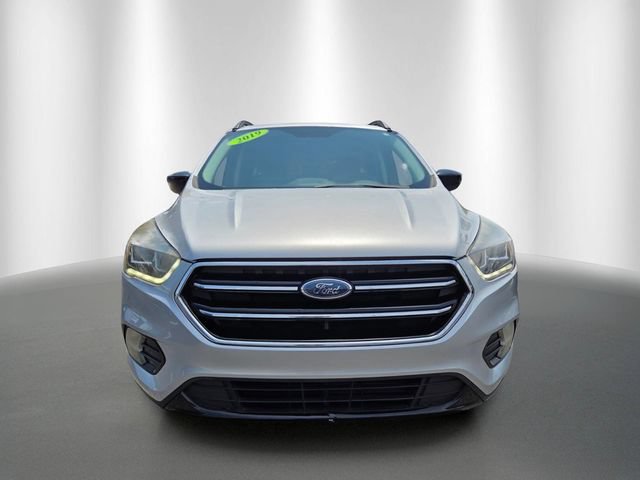 Used 2019 Ford Escape SE FWD image 8