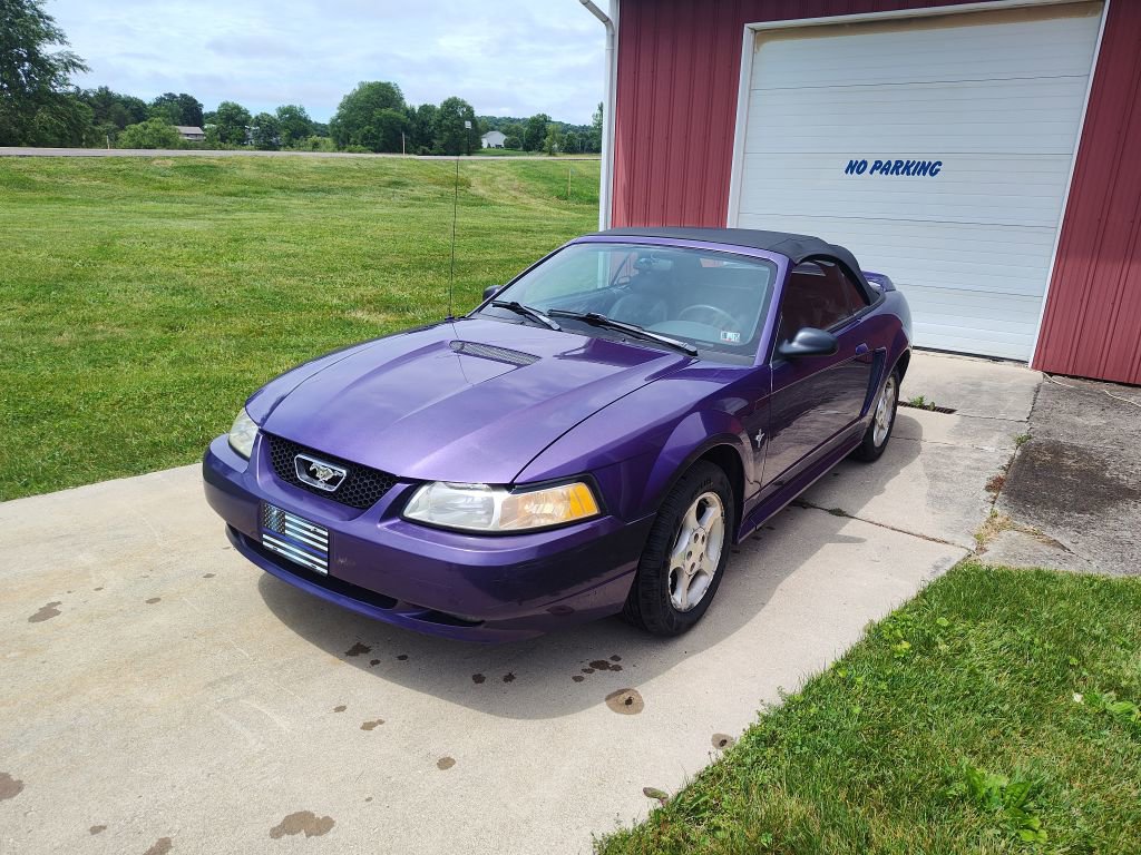 Used 2000 Ford Mustang Convertible RWD image 1