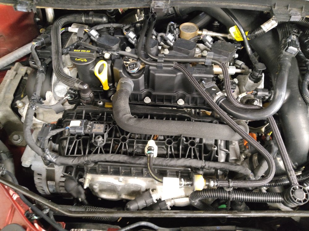 Used 2019 Ford Escape SE image 30