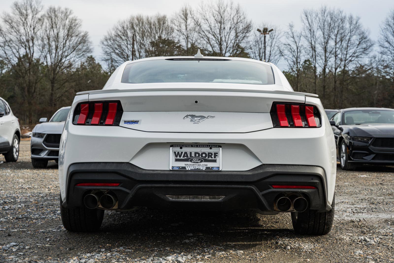 New 2026 Ford Mustang Premium RWD image 6