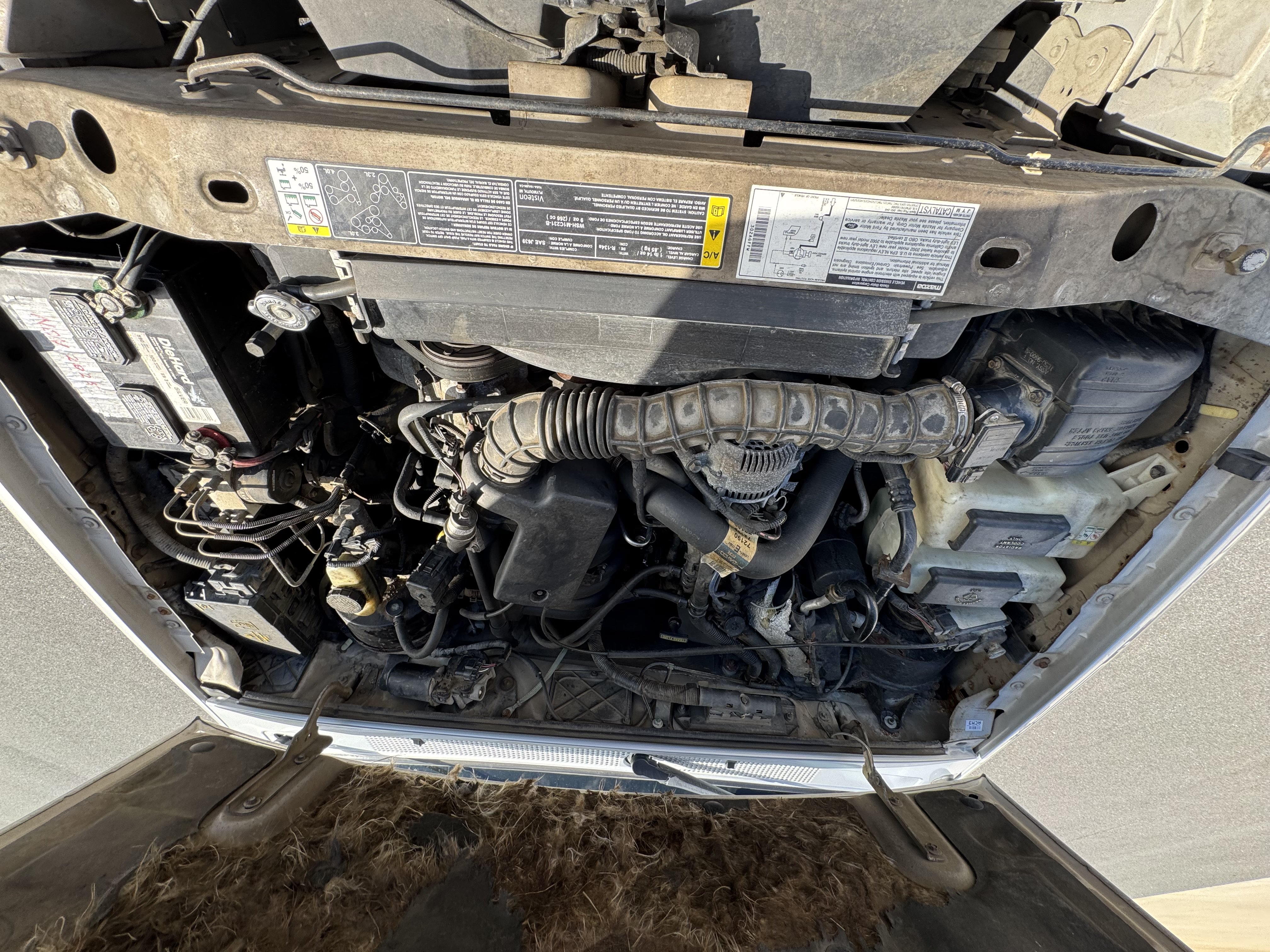 Used 2002 MAZDA B-Series Pickup 2WD Cab Plus B3000 image 51