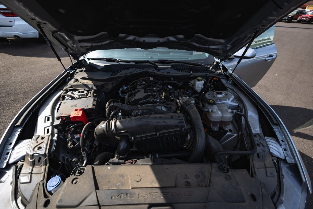 Used 2024 Ford Mustang Premium image 12