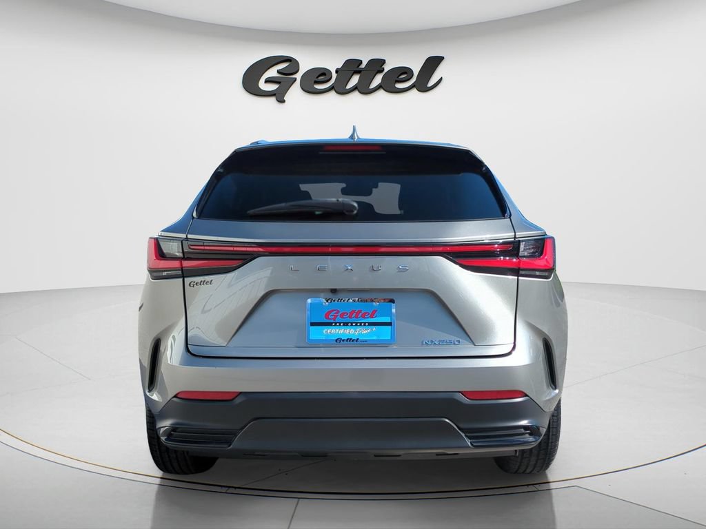 Used 2024 Lexus NX 250 FWD w/ Cold Area Package image 6