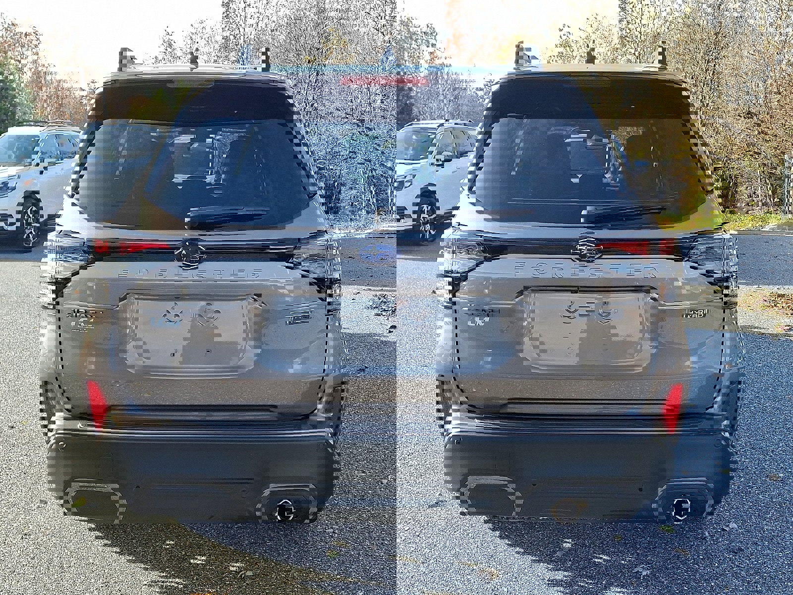 Certified 2025 Subaru Forester Limited w/ Protection Package (1PH) image 5