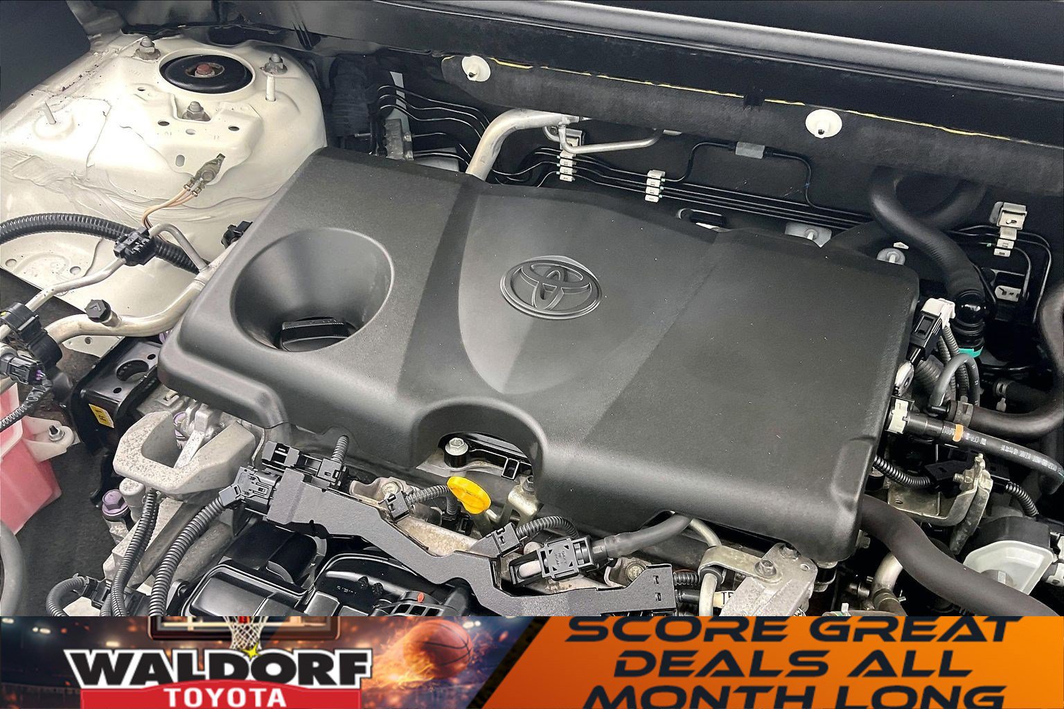 Used 2019 Toyota RAV4 LE w/ All Weather Liner Package image 35
