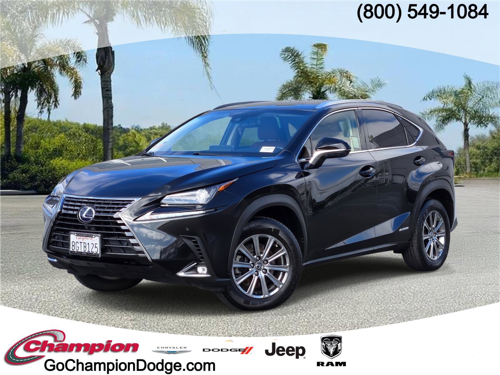 Used 2019 Lexus NX 300h AWD video 1