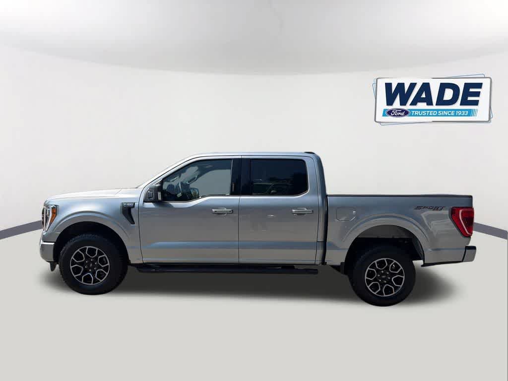 Used 2023 Ford F150 XLT w/ Equipment Group 302A High AWD/4WD image 8