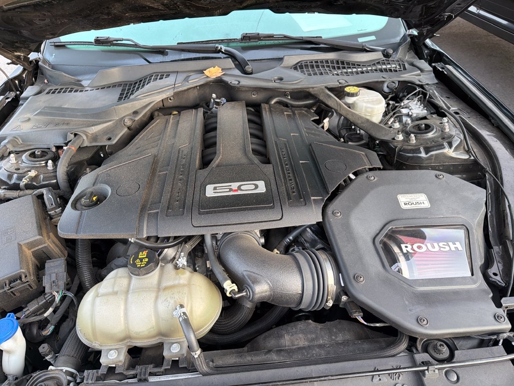 Used 2022 Ford Mustang GT Premium w/ Equipment Group 401A RWD image 17