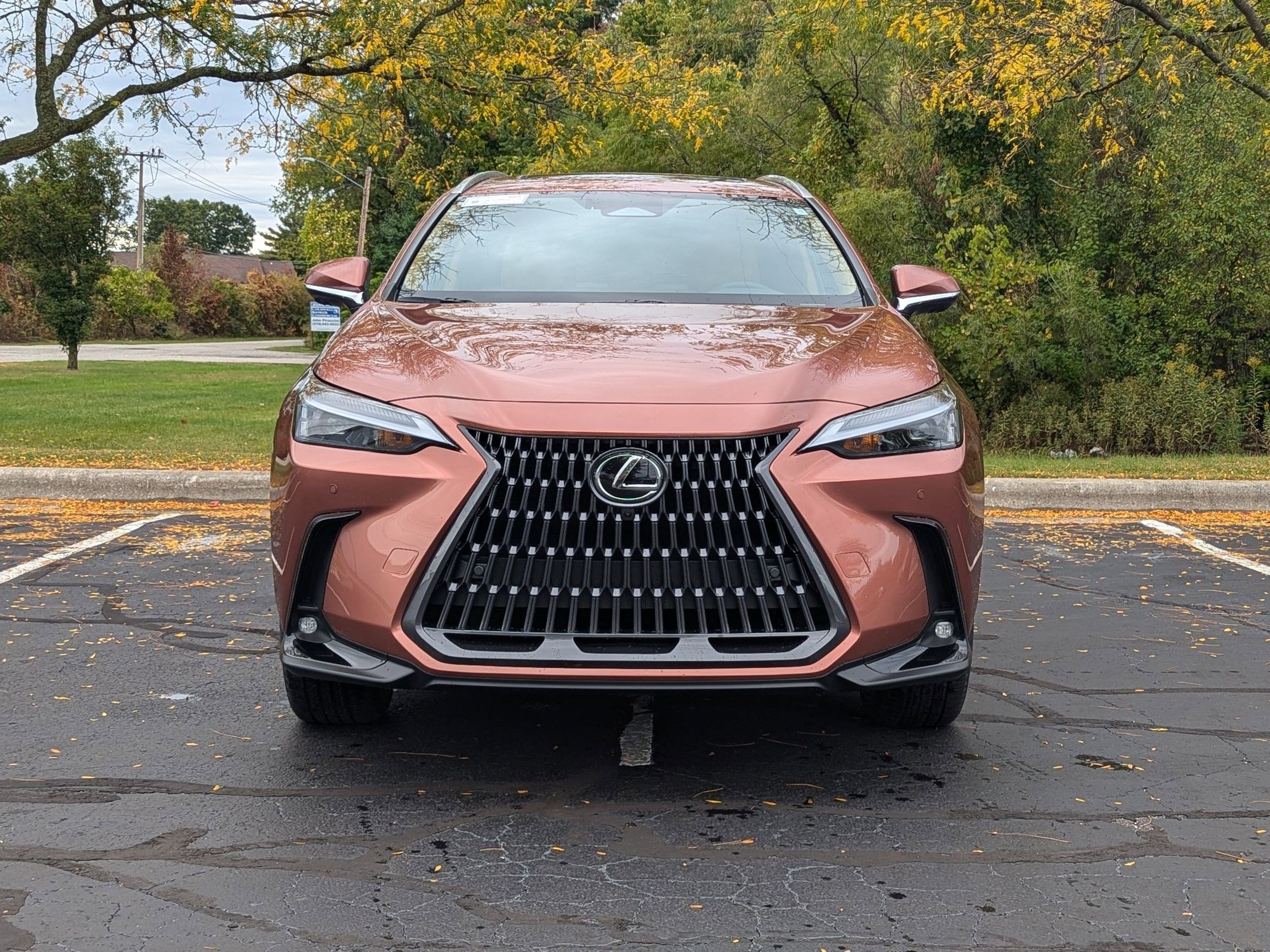 New 2026 Lexus NX 350 AWD w/ Premium Package image 6