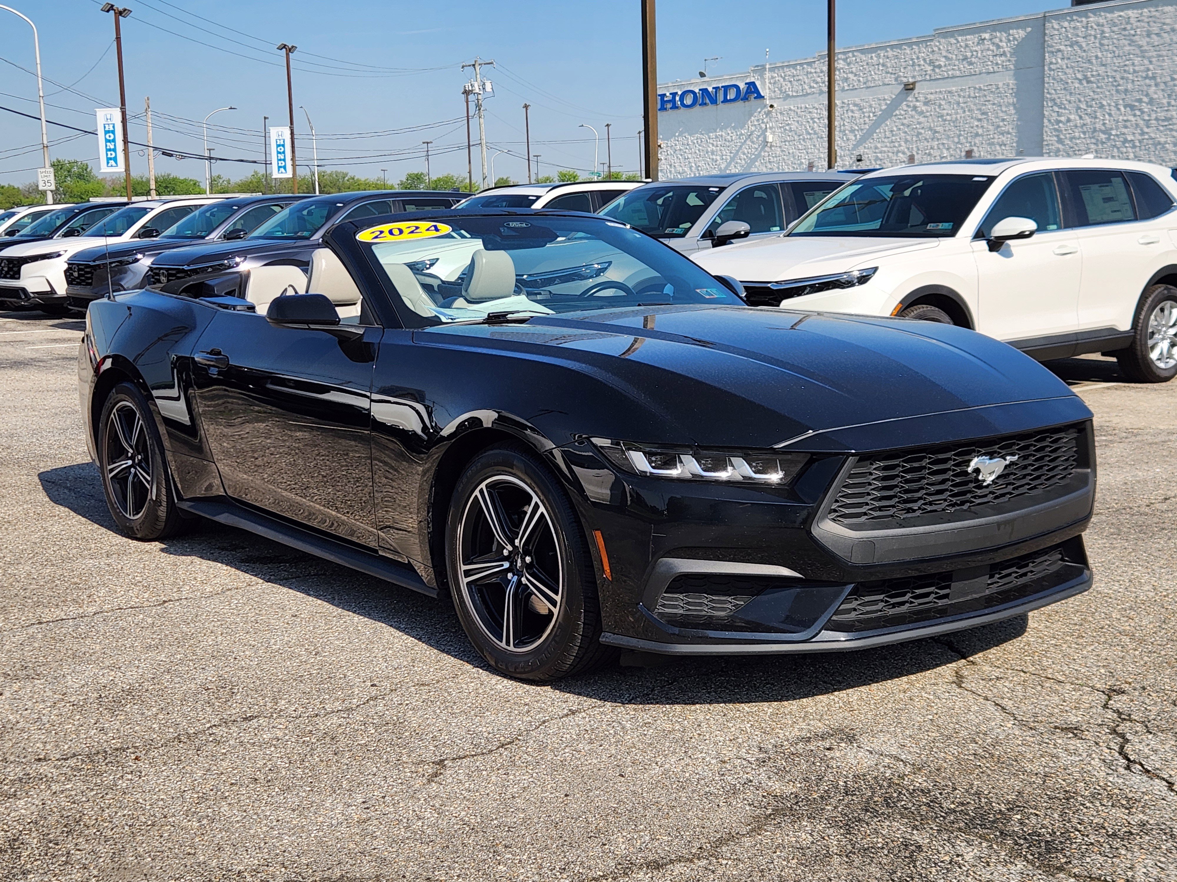 Used 2024 Ford Mustang Premium image 7