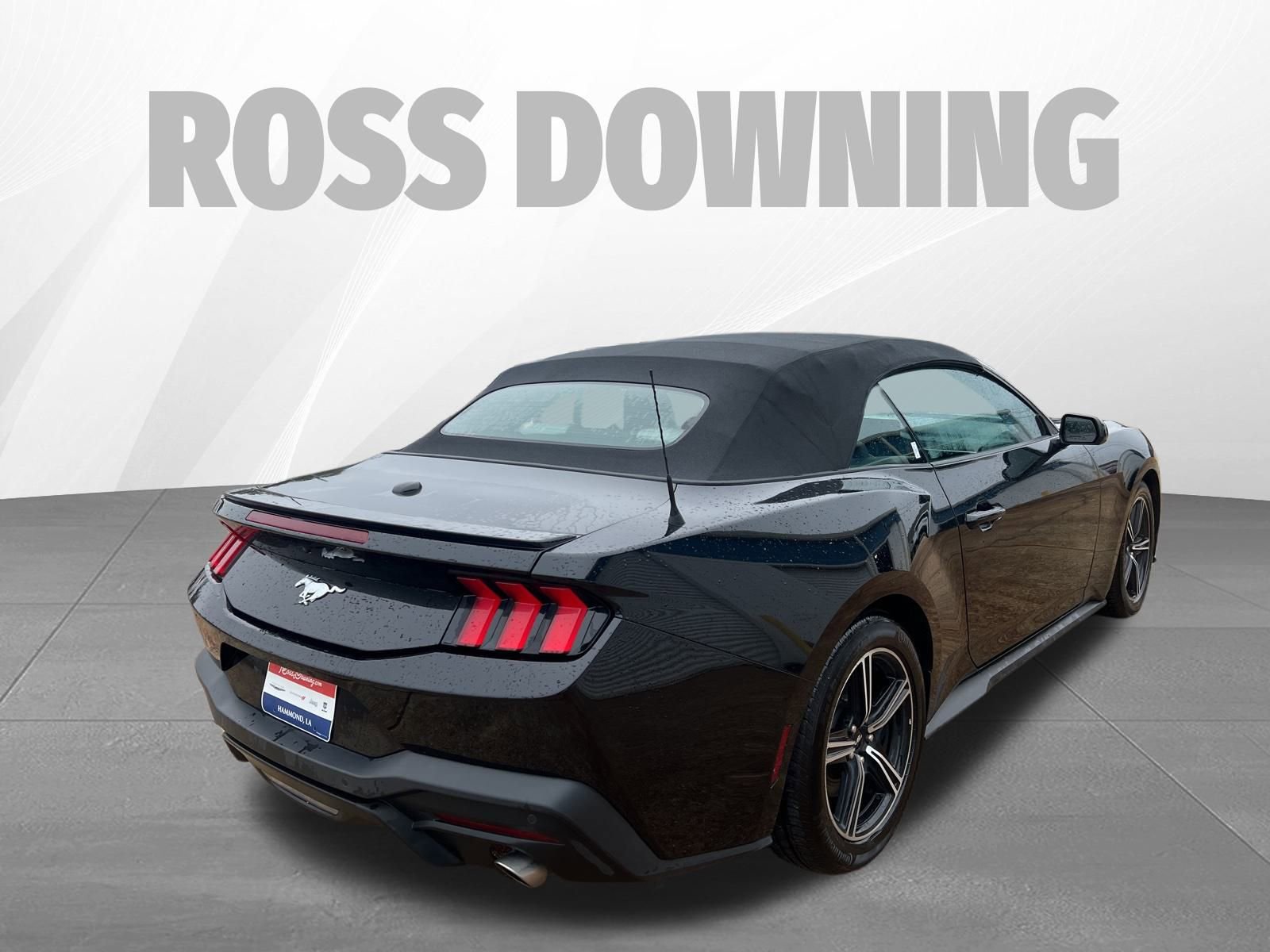 Used 2024 Ford Mustang Premium image 4