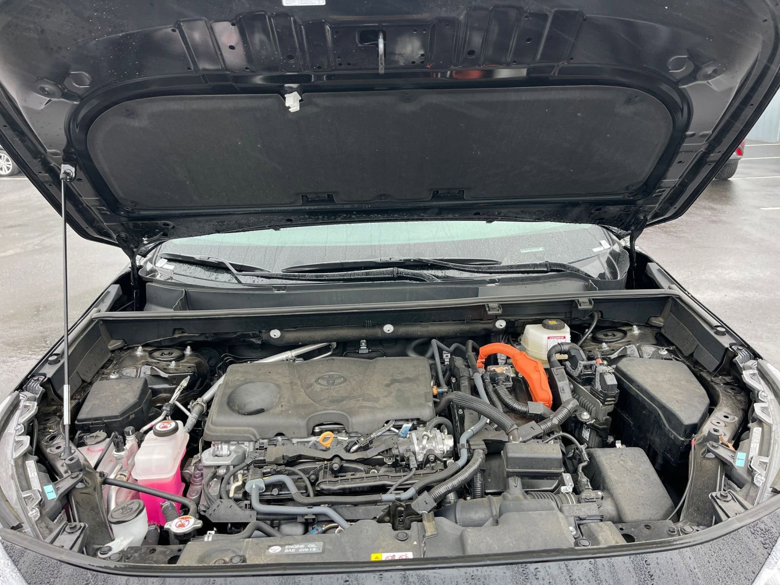 Used 2025 Toyota RAV4 LE image 31