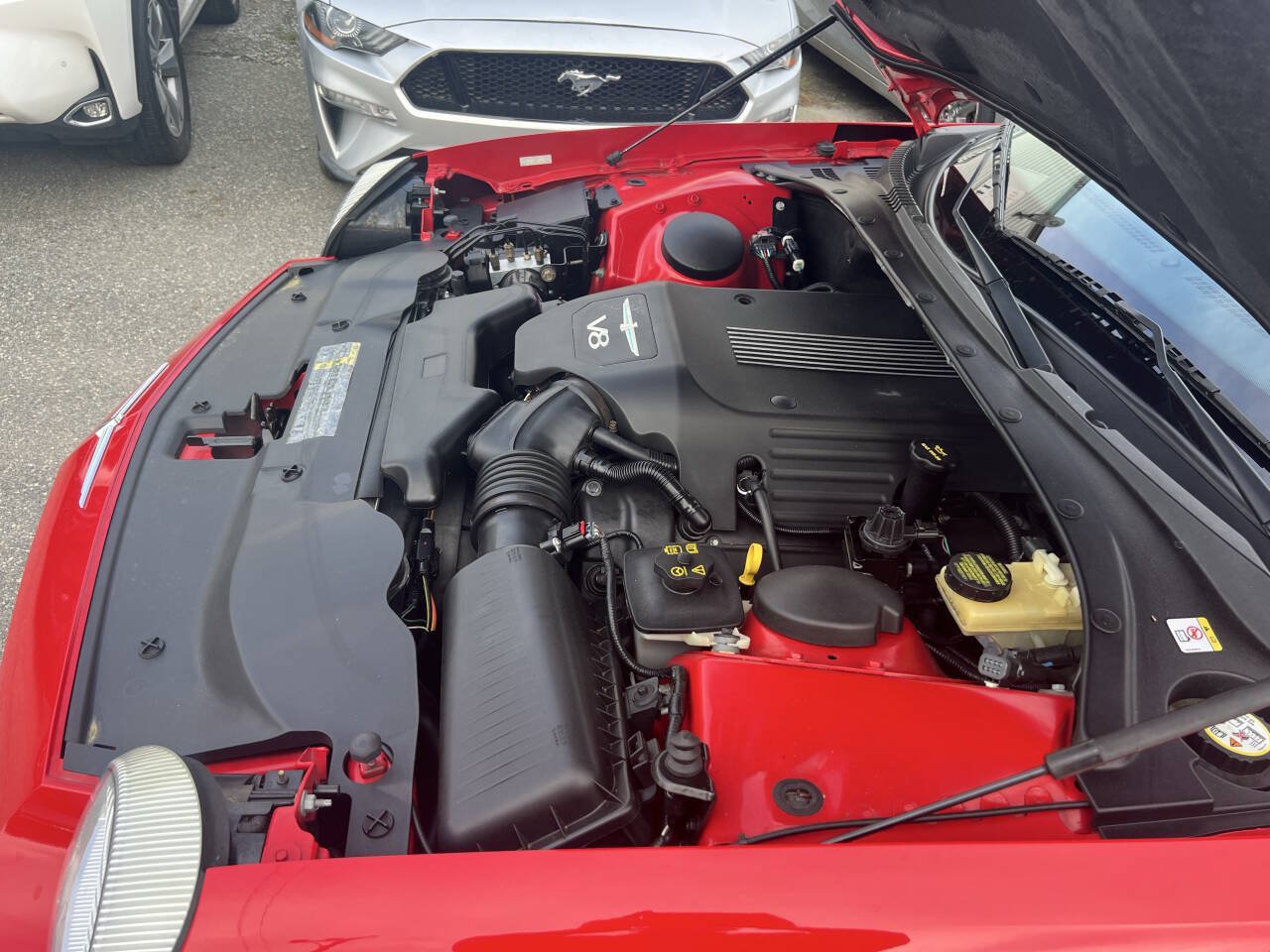 Used 2004 Ford Thunderbird RWD image 29